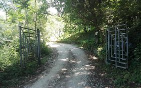 Casa nel Verde